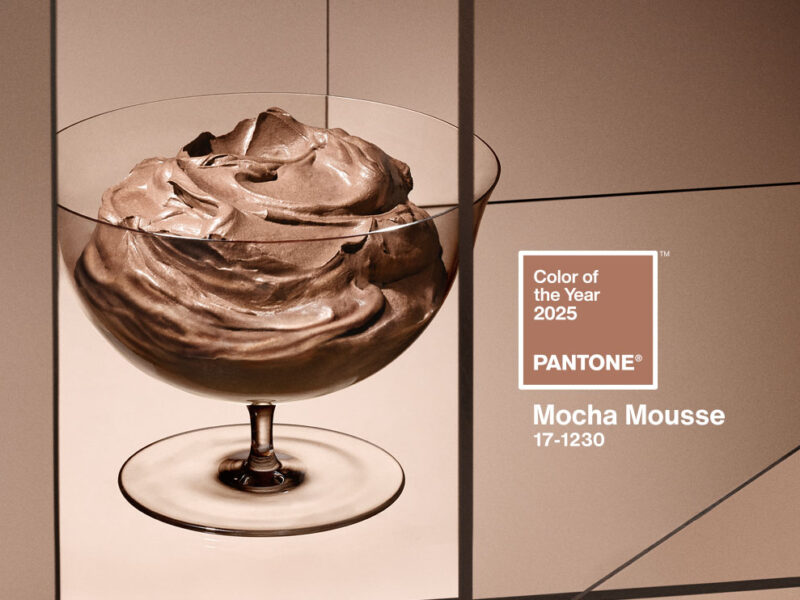 couleur de l'annee pantone