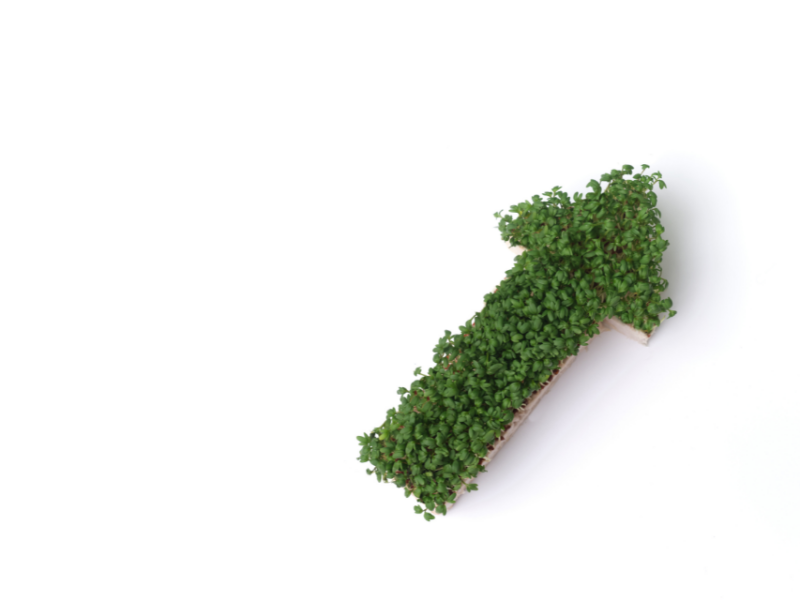 nouvel eco collectif